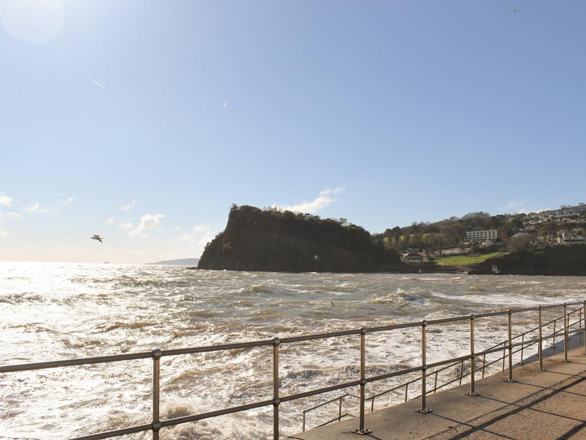 Primrose Cottage Teignmouth Exteriör bild
